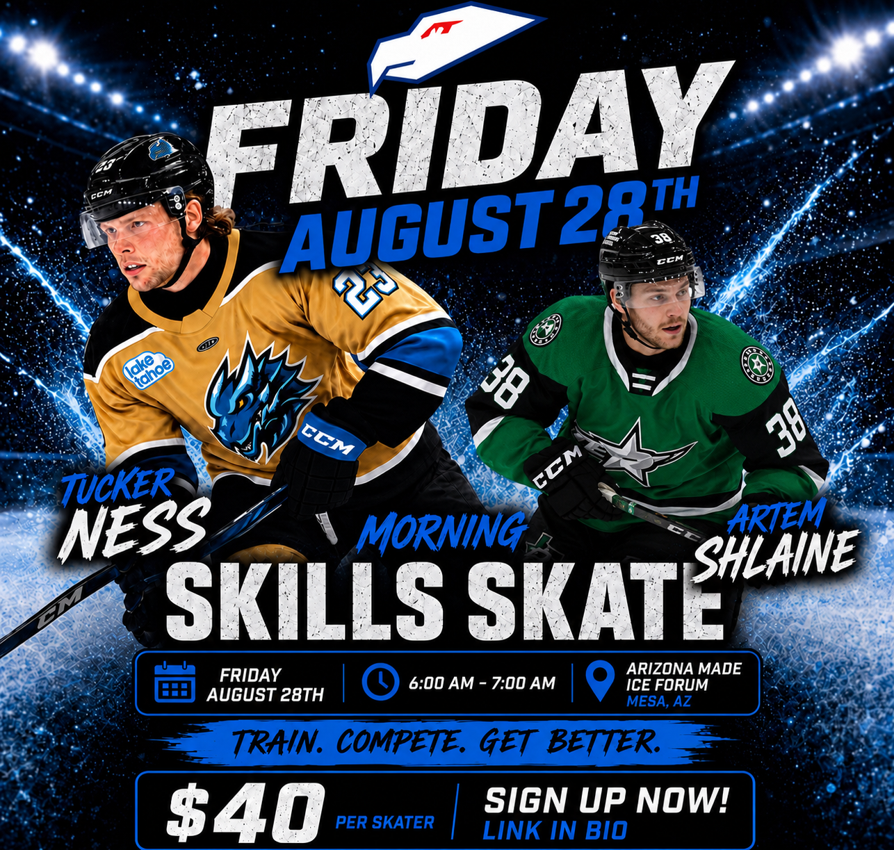 Skate with the Pros