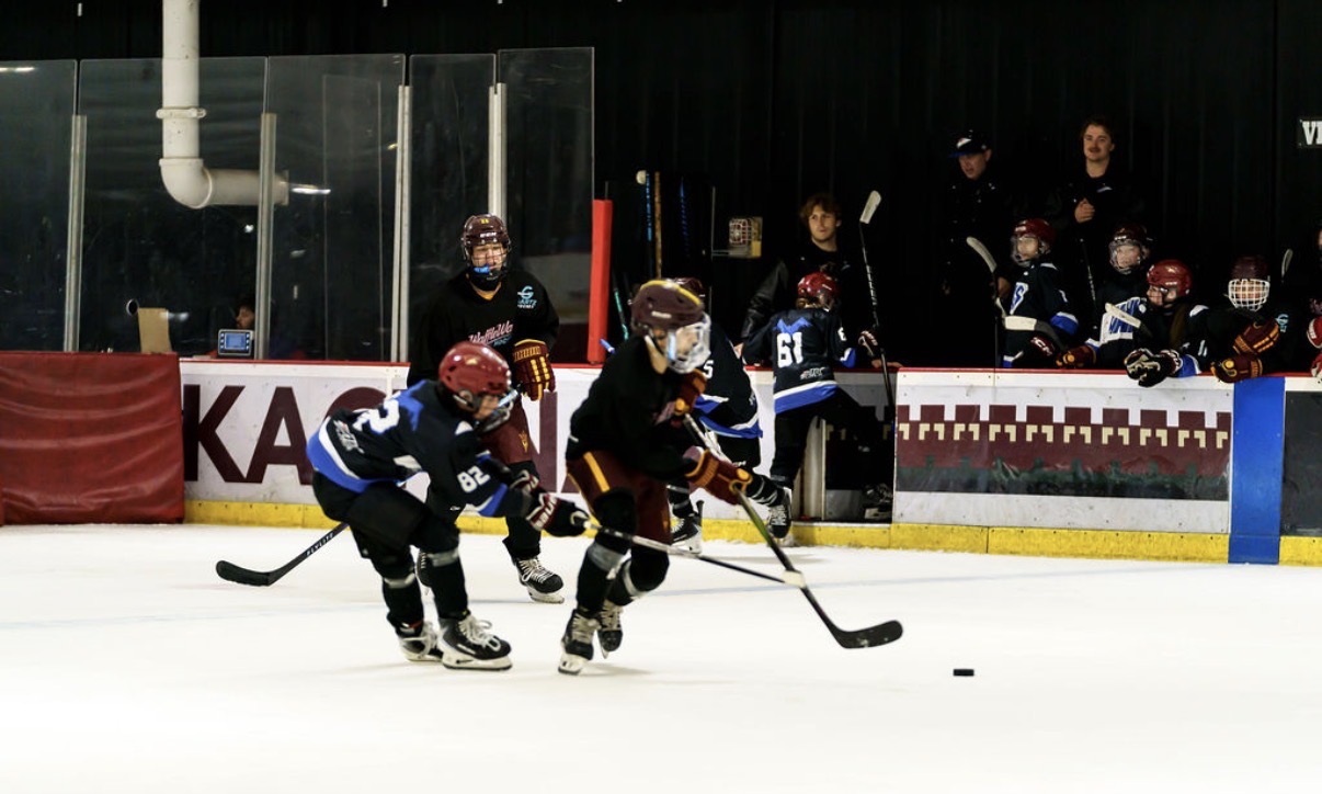 3v3 Madness Meltdown 14u photo 9
