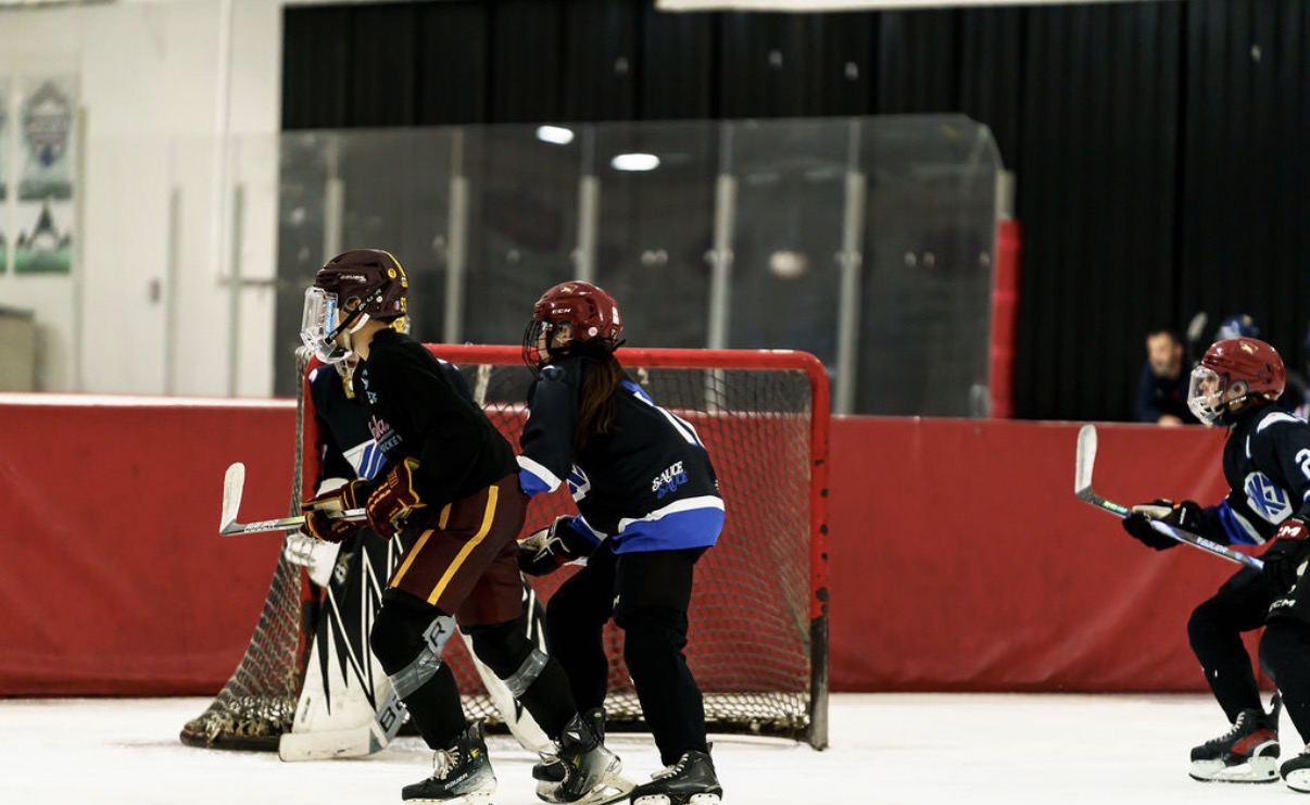 3v3 Madness Meltdown 14u photo 29