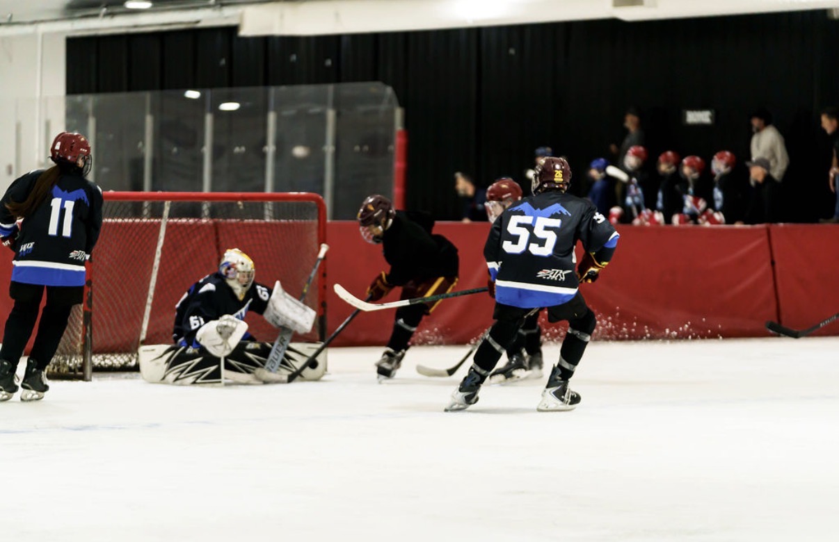 3v3 Madness Meltdown 14u photo 30