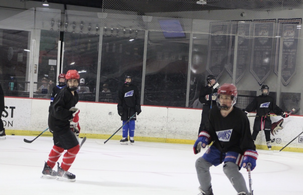 14U/16U Skills Camp photo 101
