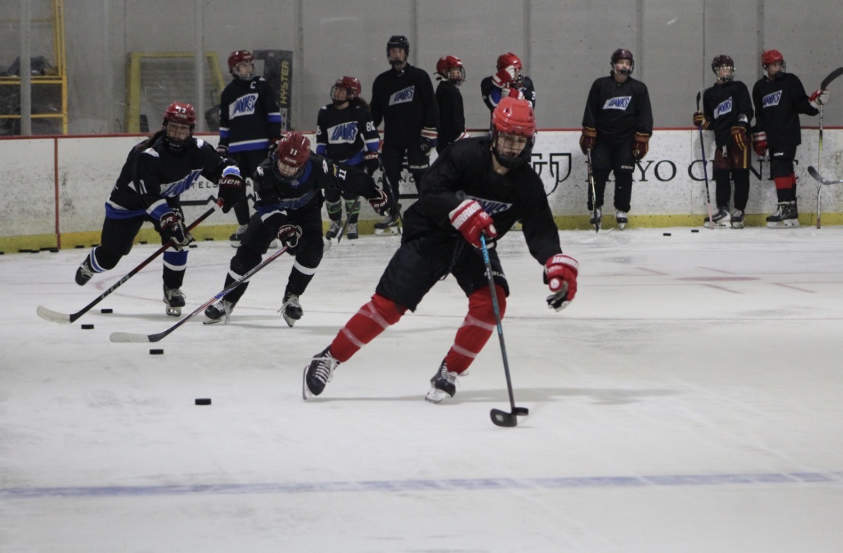 14U/16U Skills Camp photo 126