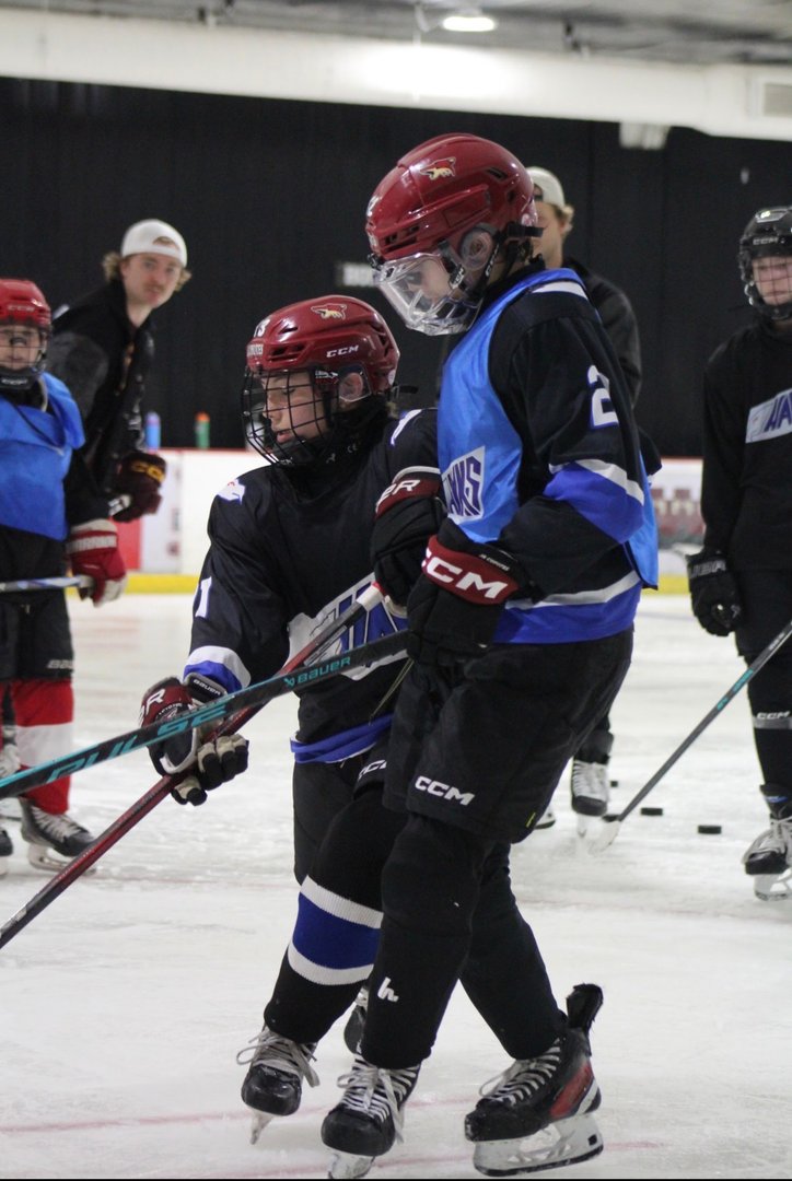 14U/16U Skills Camp photo 4