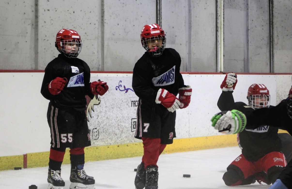 10U/12U Hockey Camp photo 6