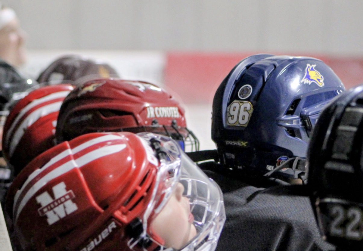10U/12U Hockey Camp photo 59