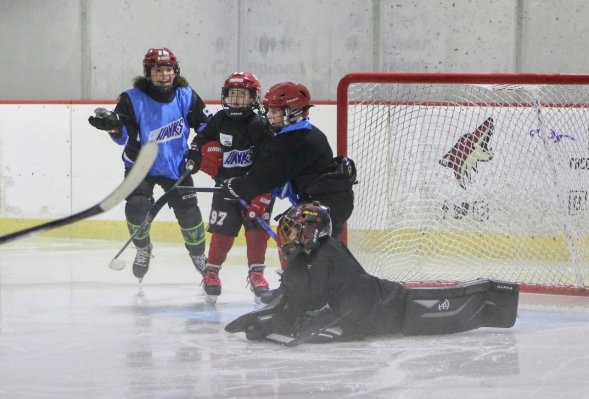 10U/12U Hockey Camp photo 71
