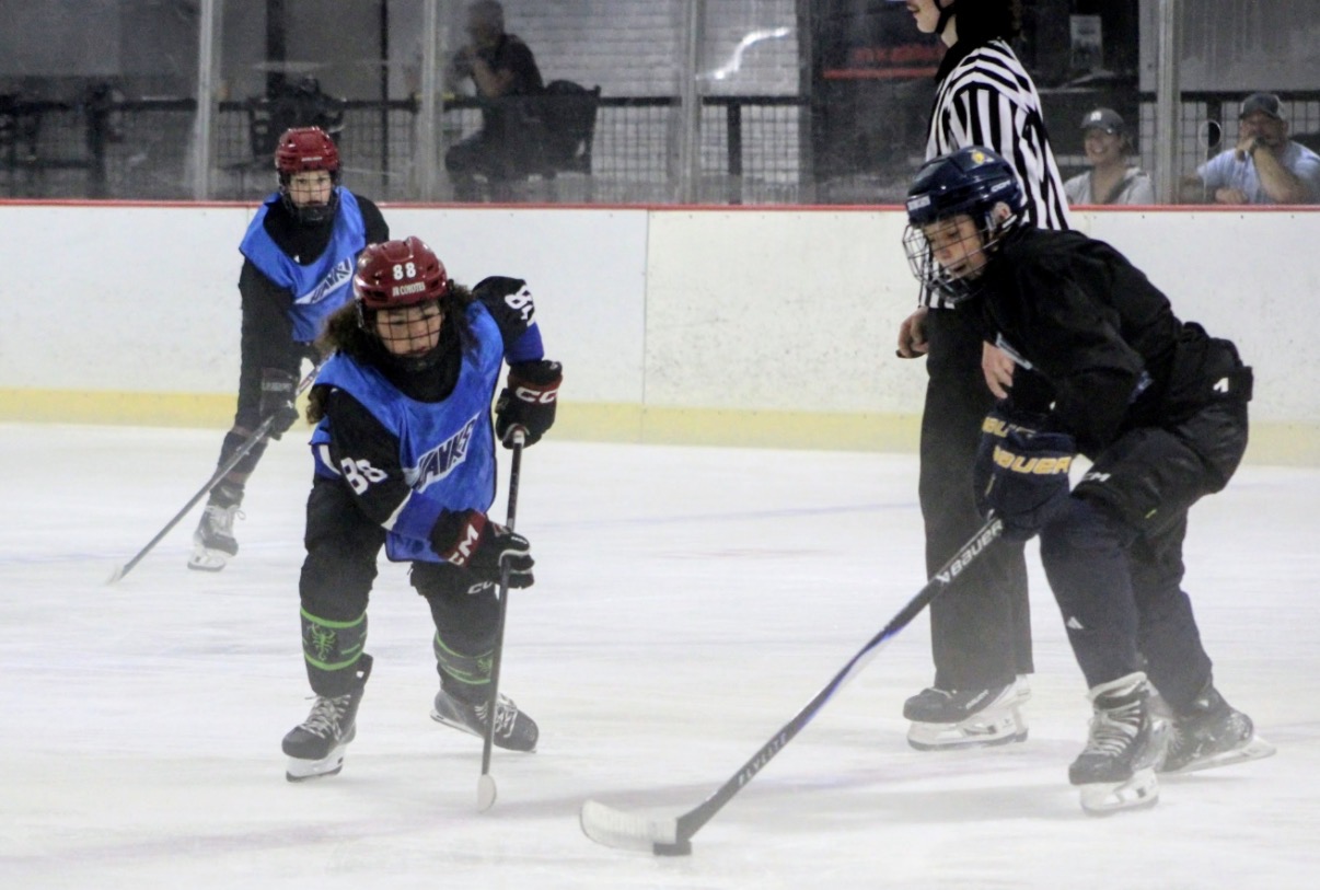 10U/12U Hockey Camp photo 85