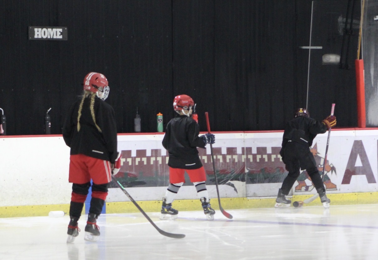 10U/12U Hockey Camp photo 218