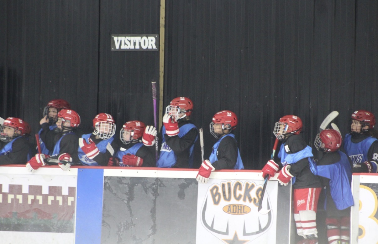 10U/12U Hockey Camp photo 294